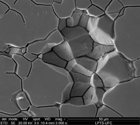 Microestrutura de metal observada em microscópio eletrônico de varredura (MEV)